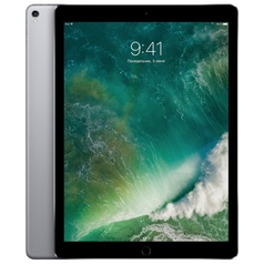 Планшет Apple iPad Pro 12.9 256Gb Wi-Fi Space Grey (MP6G2RU/A)