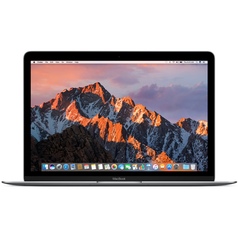 Ноутбук Apple MacBook 12 Core M3 1.2/8/256SSD SG (MNYF2RU/A)