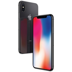 Смартфон Apple iPhone X 256GB Space Grey (MQAF2RU/A)